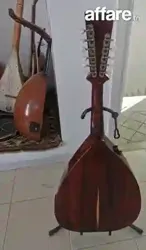 Luth Electro Acoustique