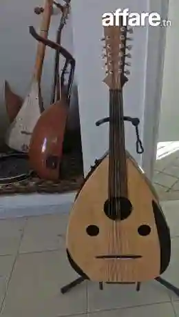 Luth Electro Acoustique - Vue 1
