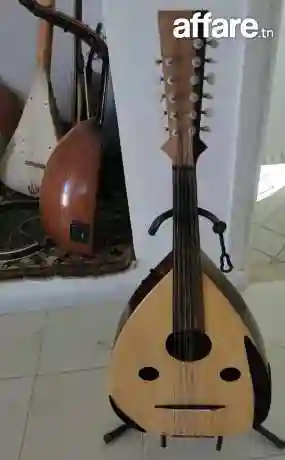 Luth Electro Acoustique - Vue 2
