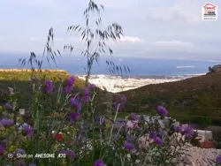 Terrain Villa Ammonite à Nadhour Bizerte à Bizerte