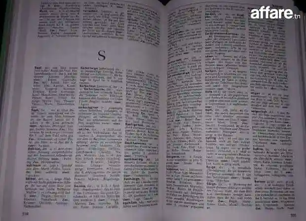 Dictionnaire Allemand-allemand - Vue 1