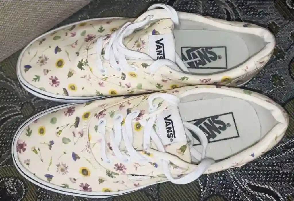 Vans - Vue 1