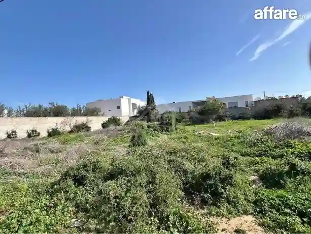 Un Terrain de 650 m² Dans la Zone de Sidi Mahressi à Vendre - Vue 2