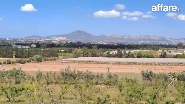 Villa Piscine 1 Hectare - Vue 1