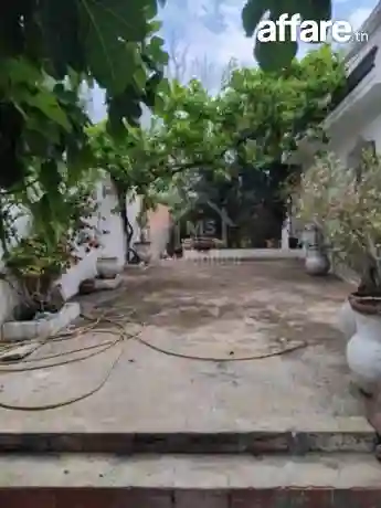 Maison S+3 Avec Jardin et Garage à Vendre à Hammamet51355351 - Vue 1