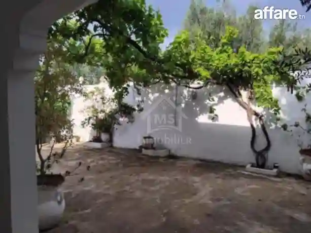 Maison S+3 Avec Jardin et Garage à Vendre à Hammamet51355351 - Vue 5