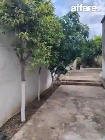 Maison S+3 Avec Jardin et Garage à Vendre à Hammamet51355351 - Vue 6