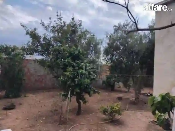 Maison S+3 Avec Jardin et Garage à Vendre à Hammamet51355351 - Vue 7