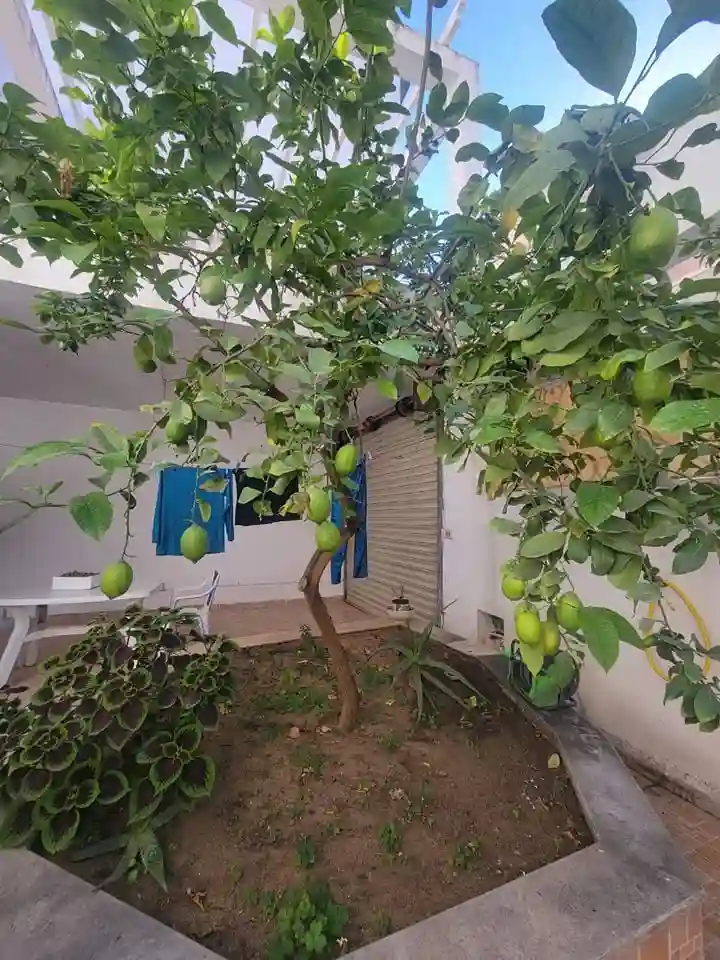 Belle Villa Duplex à Bizerte - Vue 1