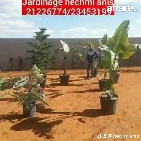 Décoration Jardin et Posé Gazon Naturelle Américain Kikuyu p - Vue 5