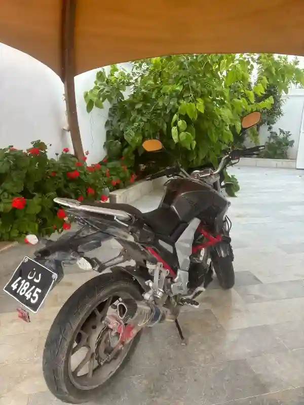 Moto Senke 125 cc - Vue 8