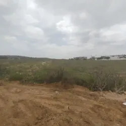4 Lots de Terrain à Douar Lbey Mannouba à La Mannouba