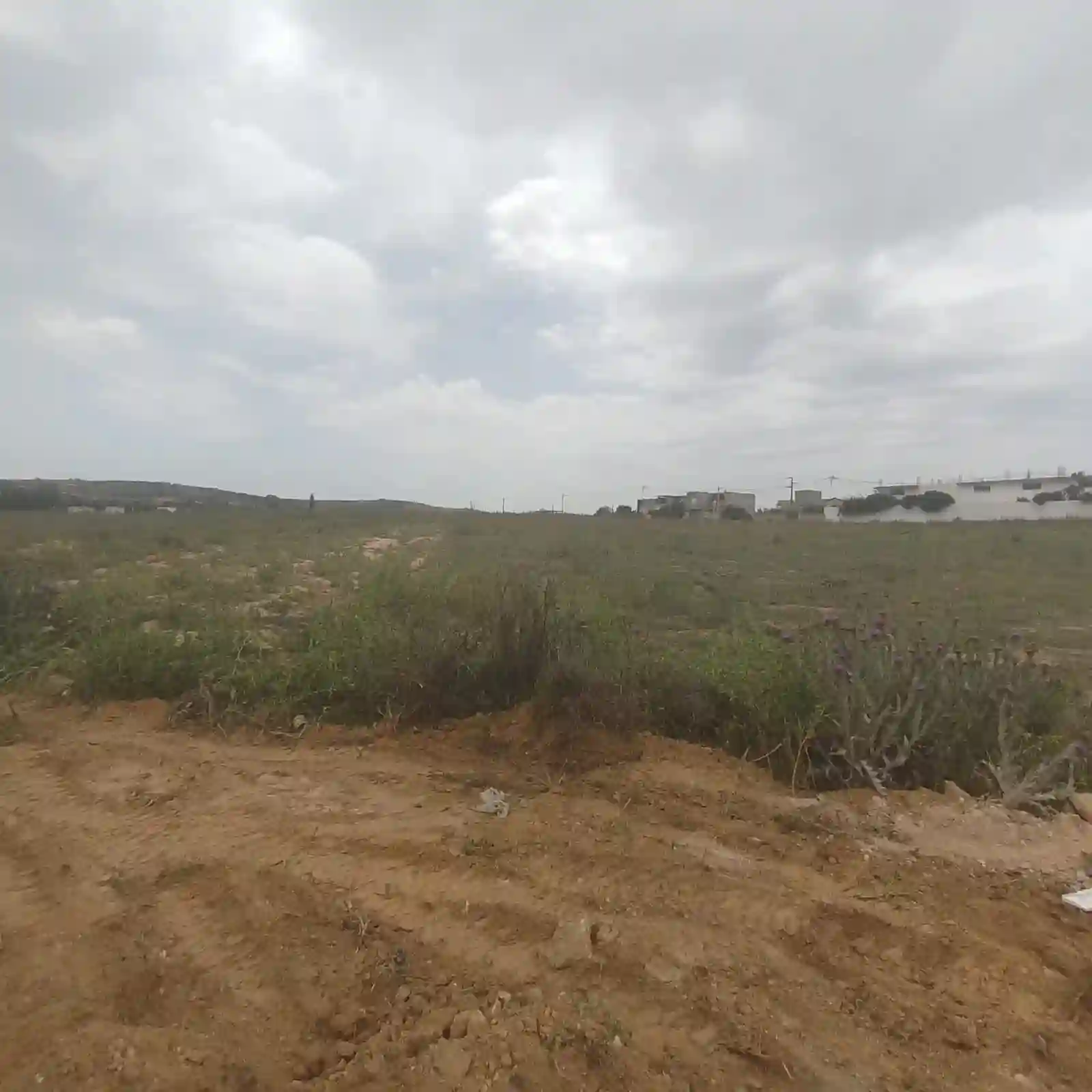 4 Lots de Terrain à Douar Lbey Mannouba à La Mannouba