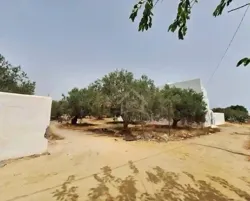 Terrain de 376 m² à Vendre à Manaret Hammamet 51355351