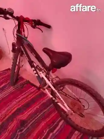 VTT Ados ou Adulte - Vue 1