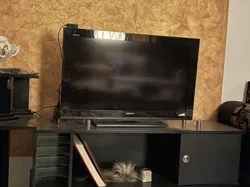 Tv Sony État Neuf
