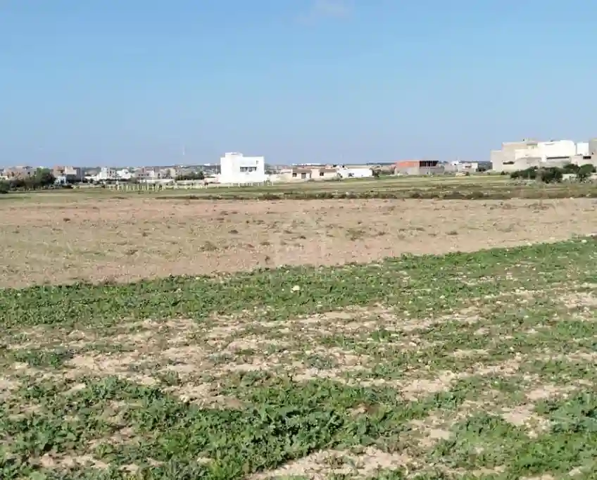 Un Terrain de 669 m² à Maamoura à Vendre 51355351 - Vue 2