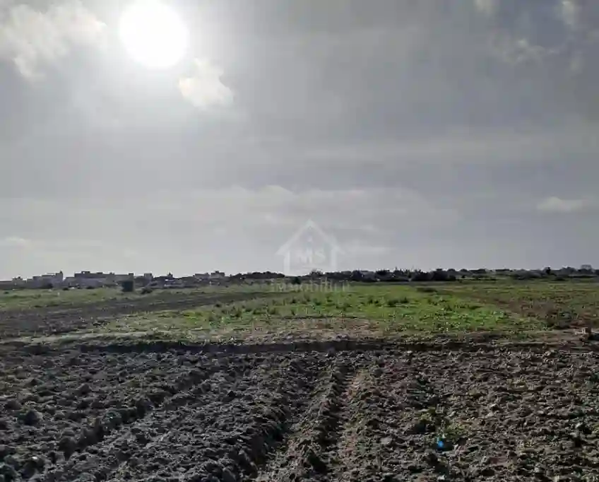 Un Terrain de 669 m² à Maamoura à Vendre 51355351 - Vue 3