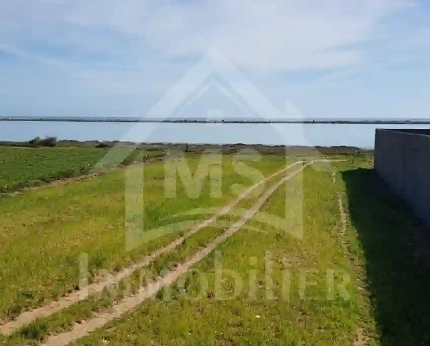 Terrain Pieds Dans L'eau Avec 2 Garages à Korba à Vendre 51355351
