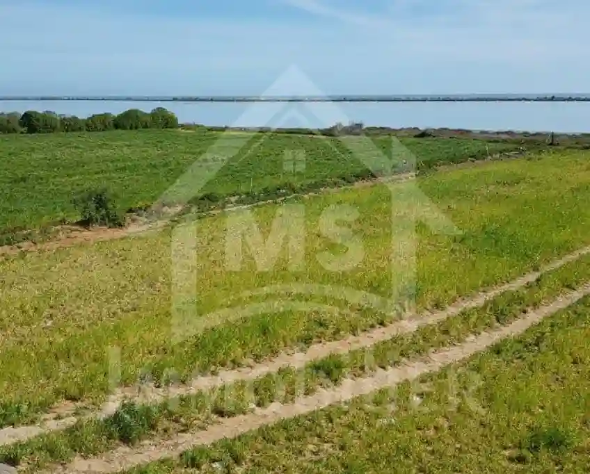 Terrain Pieds Dans L'eau Avec 2 Garages à Korba à Vendre 51355351 - Vue 2