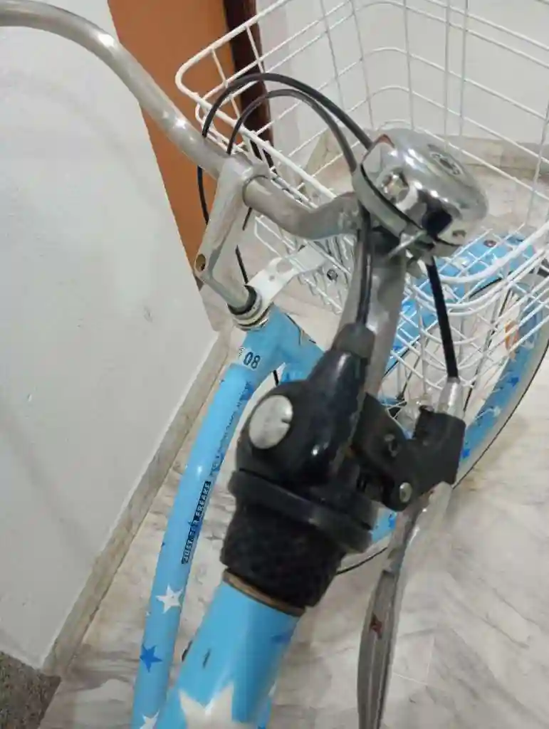 Velo de Ville Importe Cadre Aluminium Taille XL - Vue 2