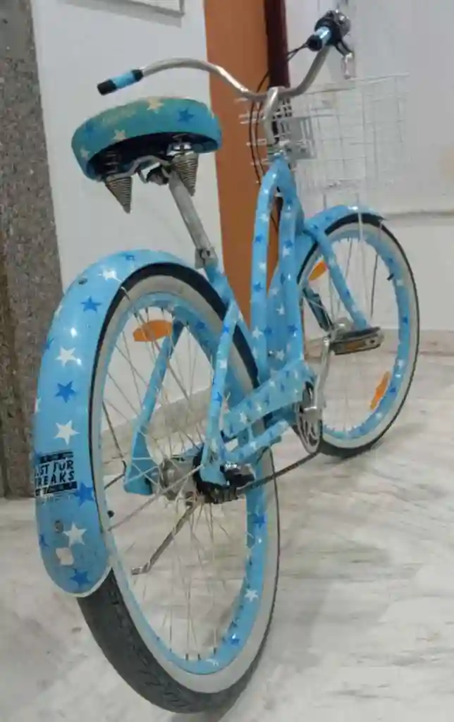Velo de Ville Importe Cadre Aluminium Taille XL - Vue 5