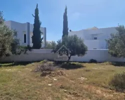 Terrain Clôtué de 250 m² à Mrezga à Vendre 51355351