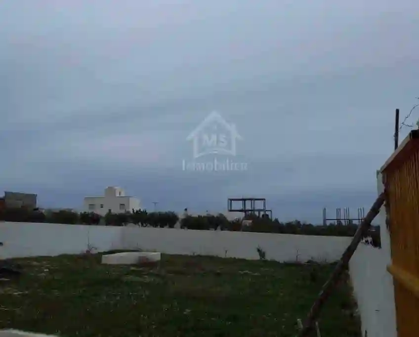 Terrain Clôturé à Vendre à 105 md à Hammamet sud 51355351 - Vue 5