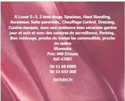 Appartement A Louer