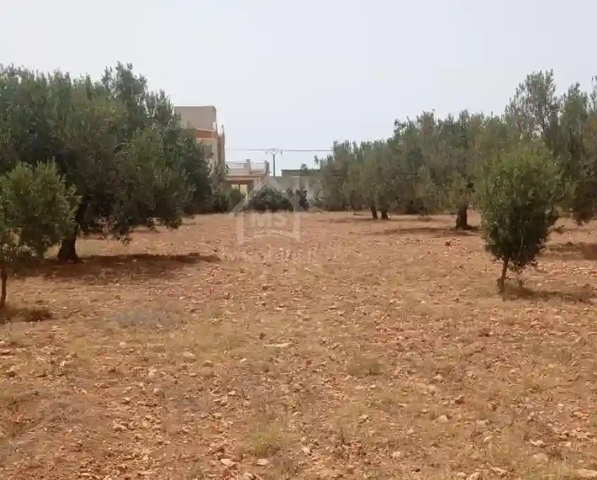 Terrain de 4800 m² à Sidi Mtir à Vendre à 270 md 51355351 - Vue 1