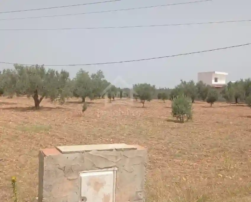 Terrain de 4800 m² à Sidi Mtir à Vendre à 270 md 51355351 - Vue 3