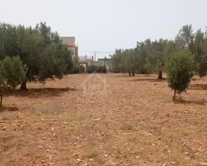 Terrain de 4800 m² à Sidi Mtir à Vendre à 270 md 51355351 - Vue 6