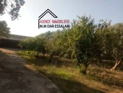 Ferme à dar Allouche