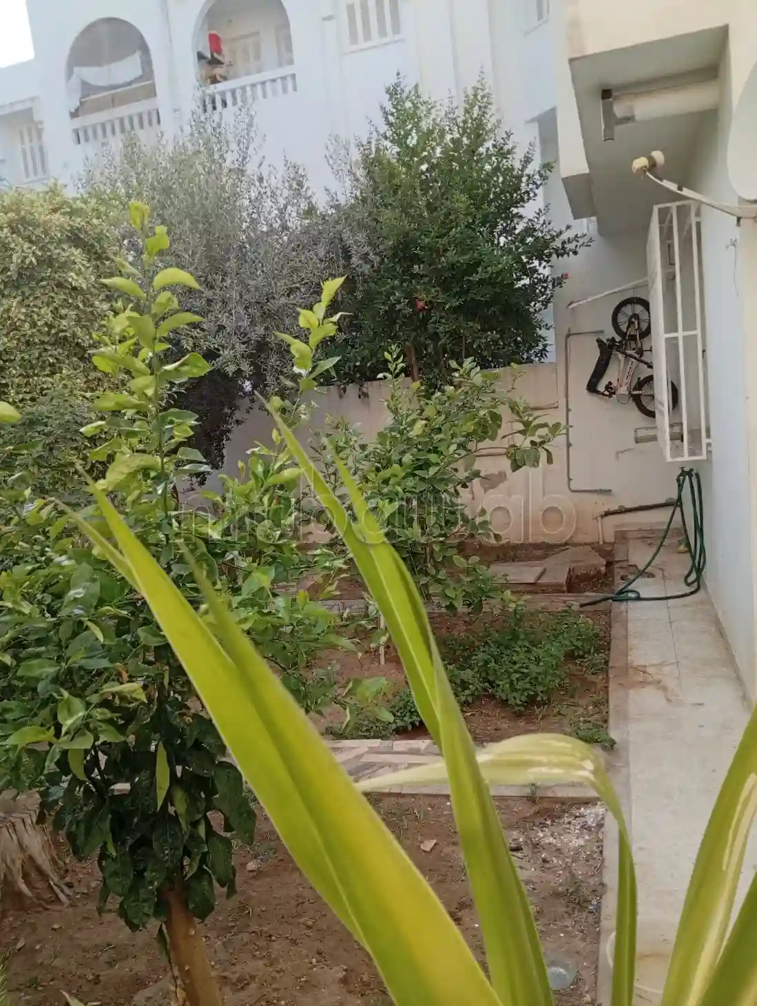 Duplex s3 Avec un Jardin - Vue 1