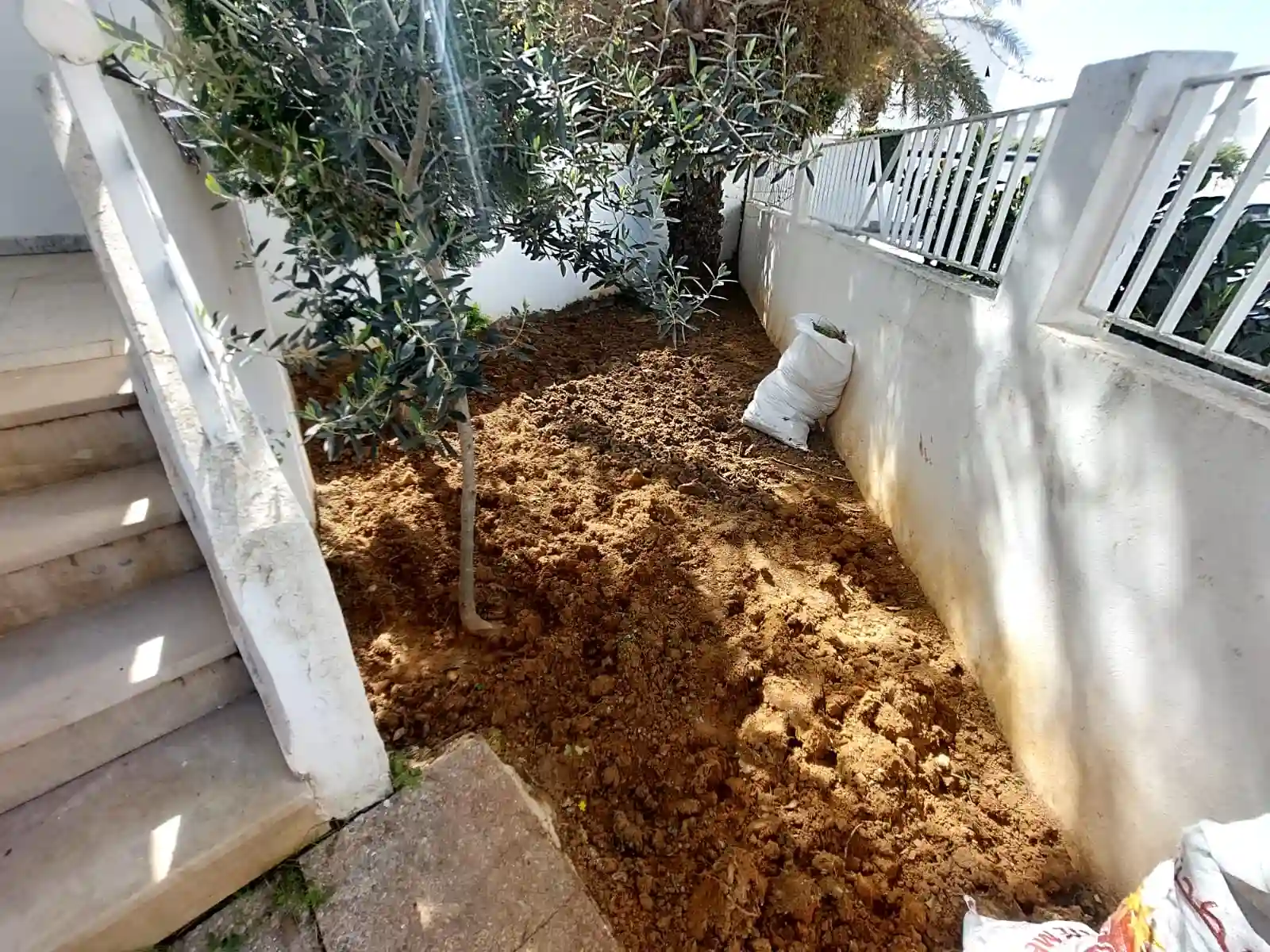 S1 Avec Jardin à la Marsa à Cite Erriadh - Vue 3