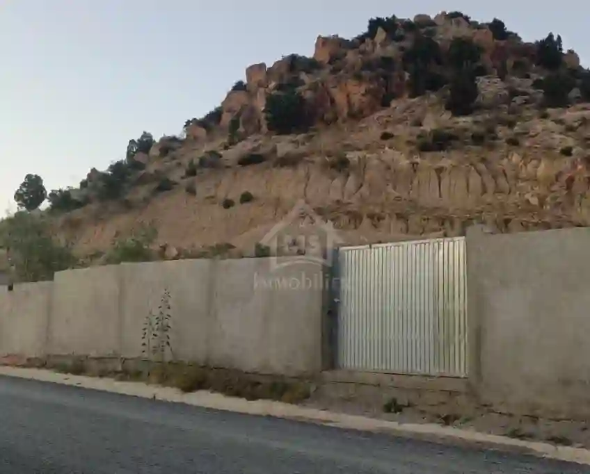 Terrain Clôturé de 230 m² à Hammamet sud 51355351
