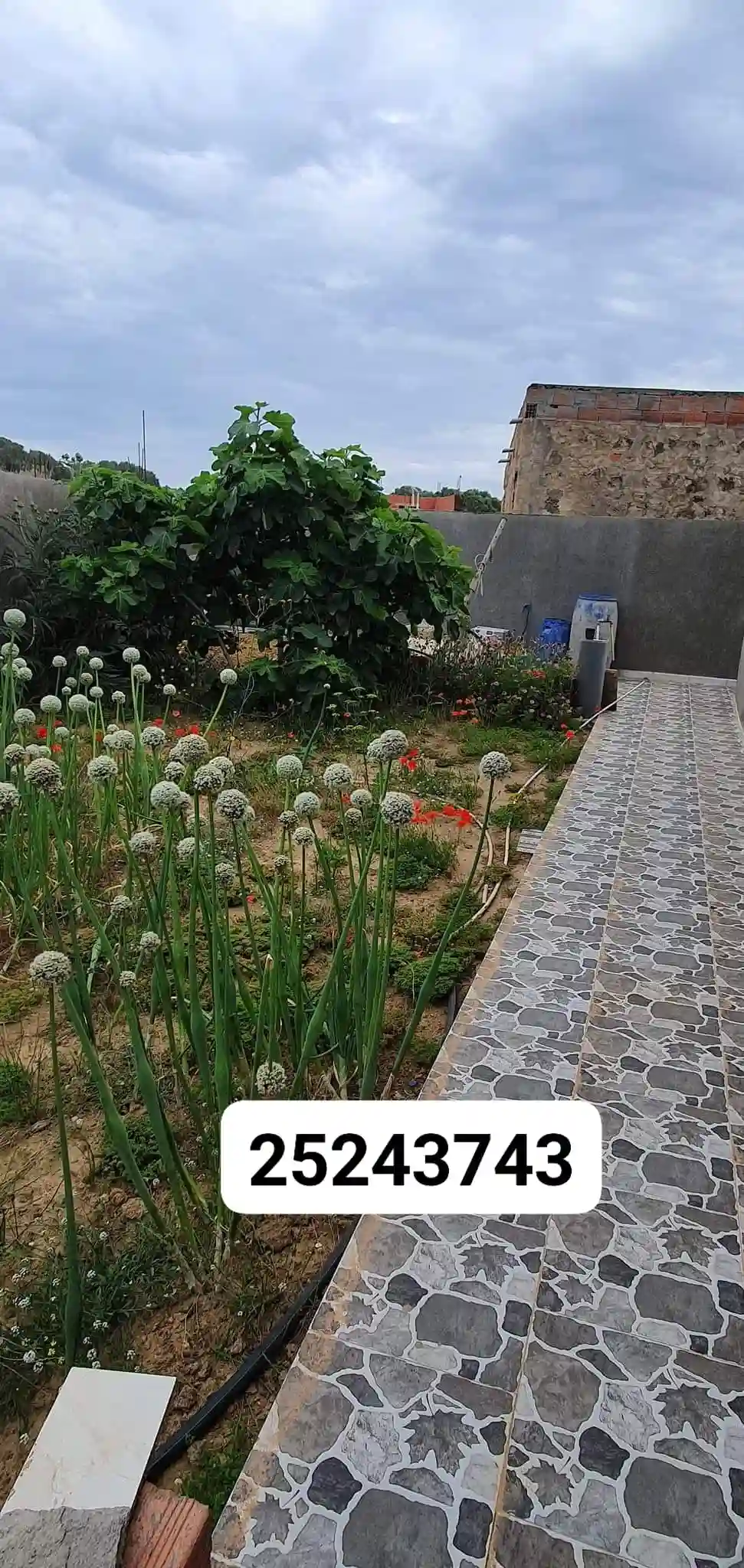Une Maison s 3 Avec Garage a Elhaouria à El Haouaria - Vue 3