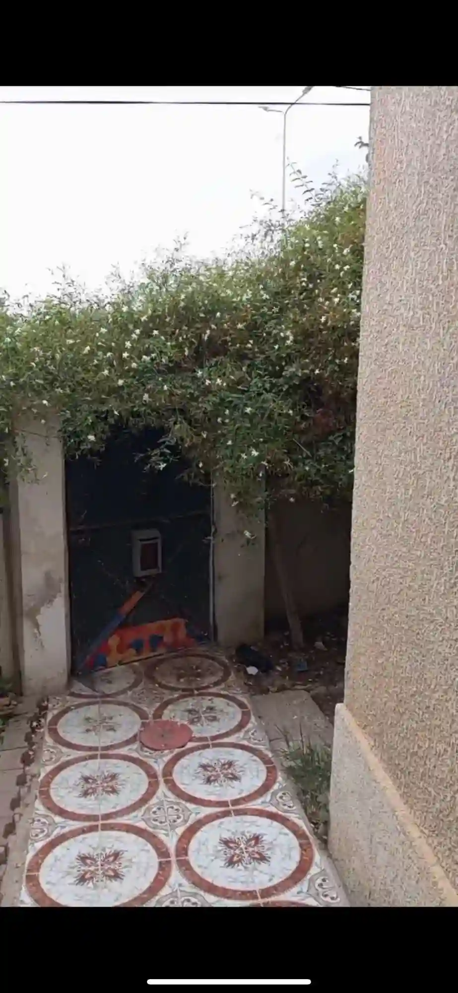 A Vendre Maison Avec Jardin a Manouba - Vue 2