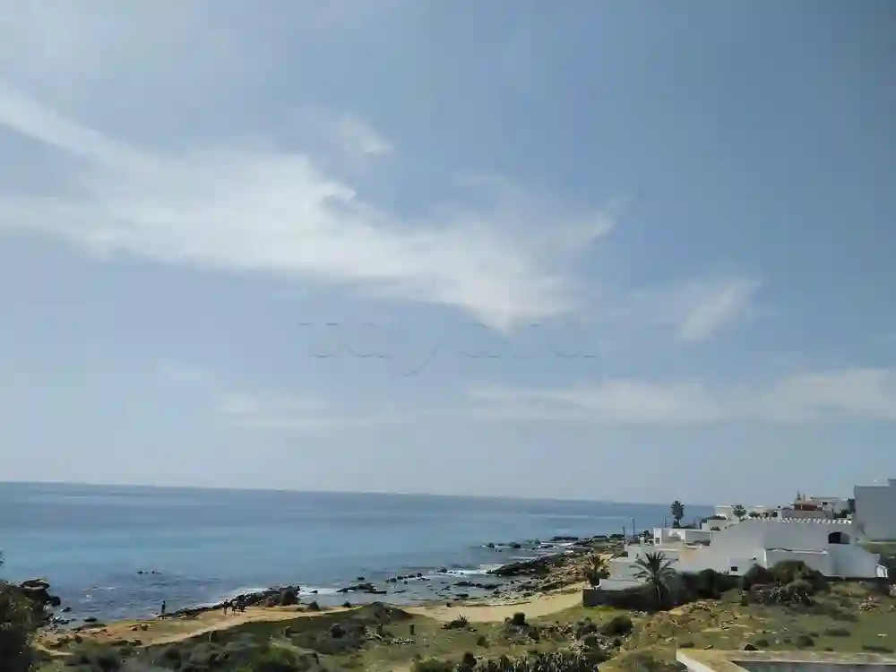 🌞 À Louer Pour L'été à Kélibia 🏖️ - Vue 7