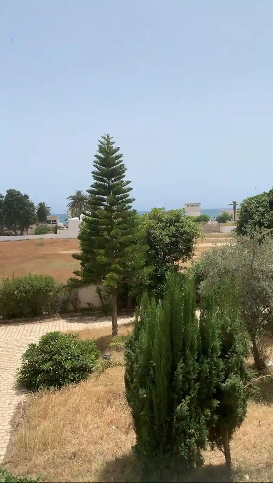 Appartement s+2 vue mer Nabeul - Vue 1