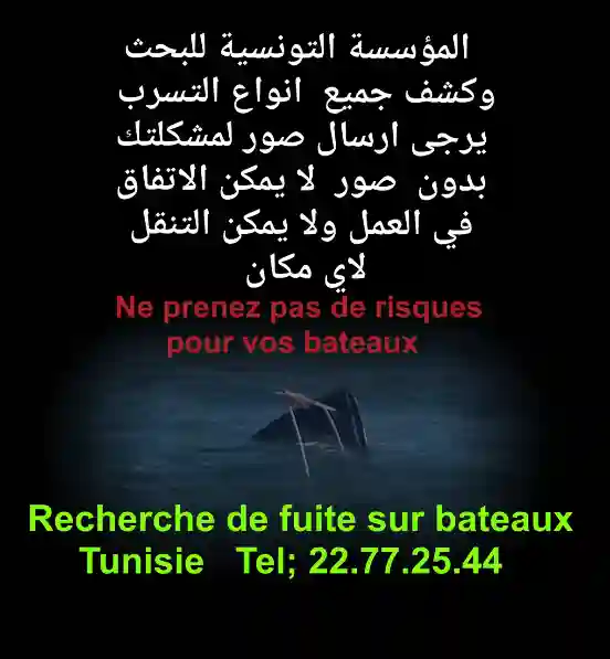 Détection de Fuite eau Sans Casse Tunisie à Bembla - Vue 1