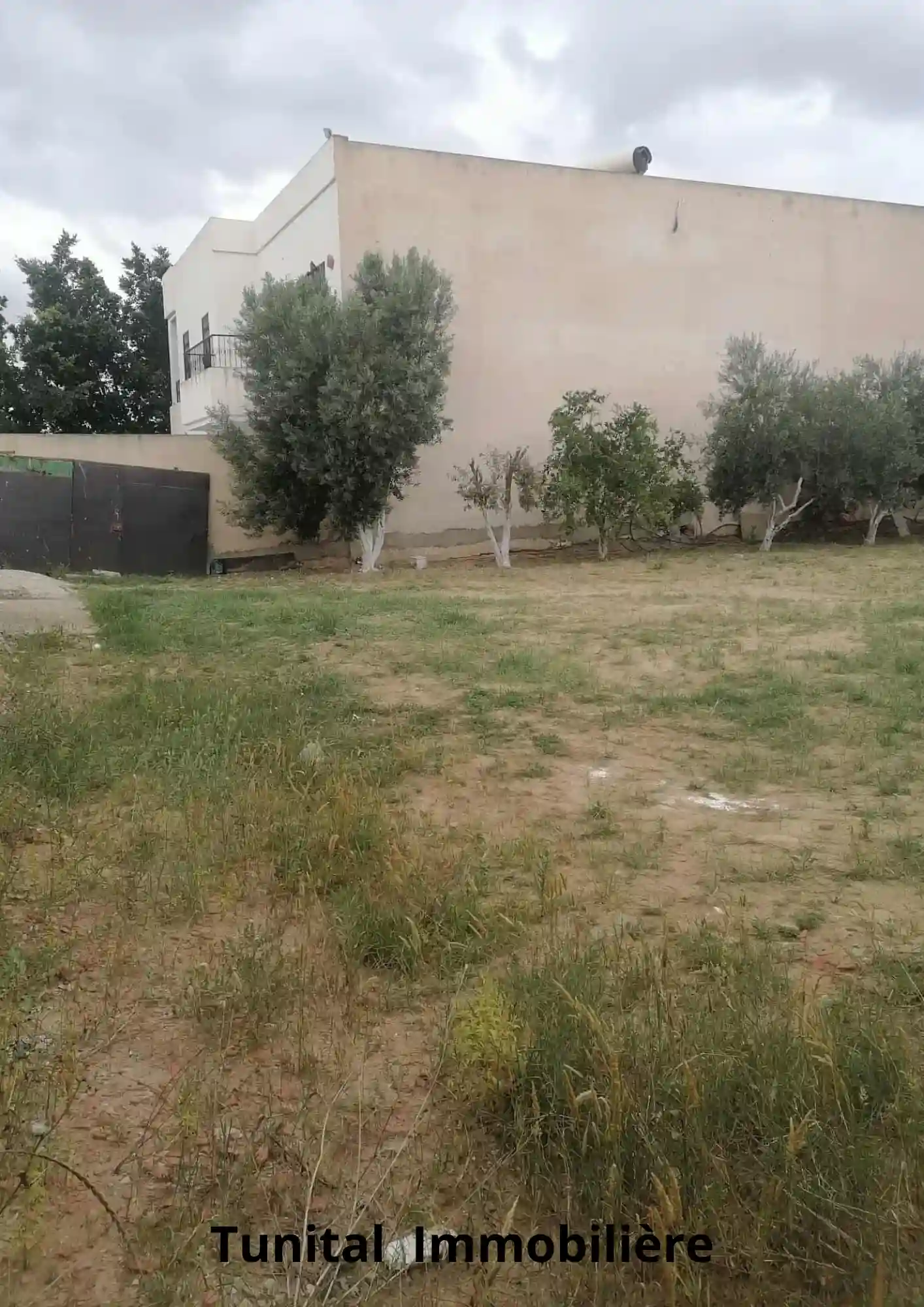 La Soukra Chotrana 3 Côté Restaurant Elfirma à Chotrana 3 - Vue 1