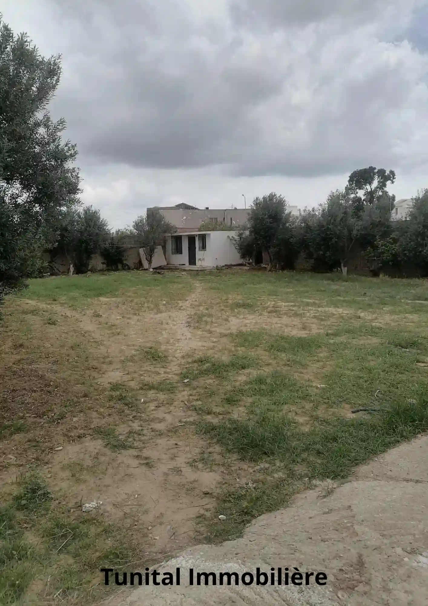 La Soukra Chotrana 3 Côté Restaurant Elfirma à Chotrana 3 - Vue 2
