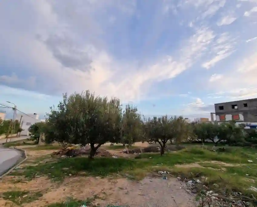 Terrain vue de mer de 1122 m² à Vendre à Hammamet Nord 51355351 - Vue 5
