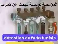 Recherche Détection Tous Types de Fuite Tunisie - Vue 1