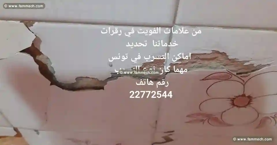Recherche Détection Tous Types de Fuite Tunisie - Vue 2
