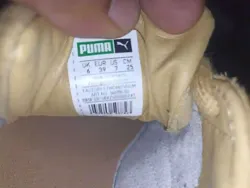Puma Cocoon
