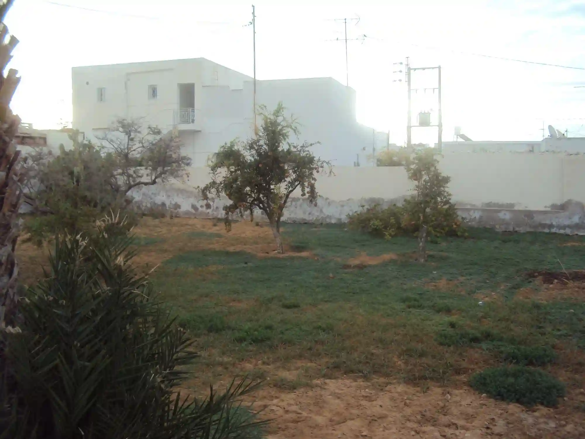 Terrain de 747 m² Avec Maison Route el ain km - Vue 1