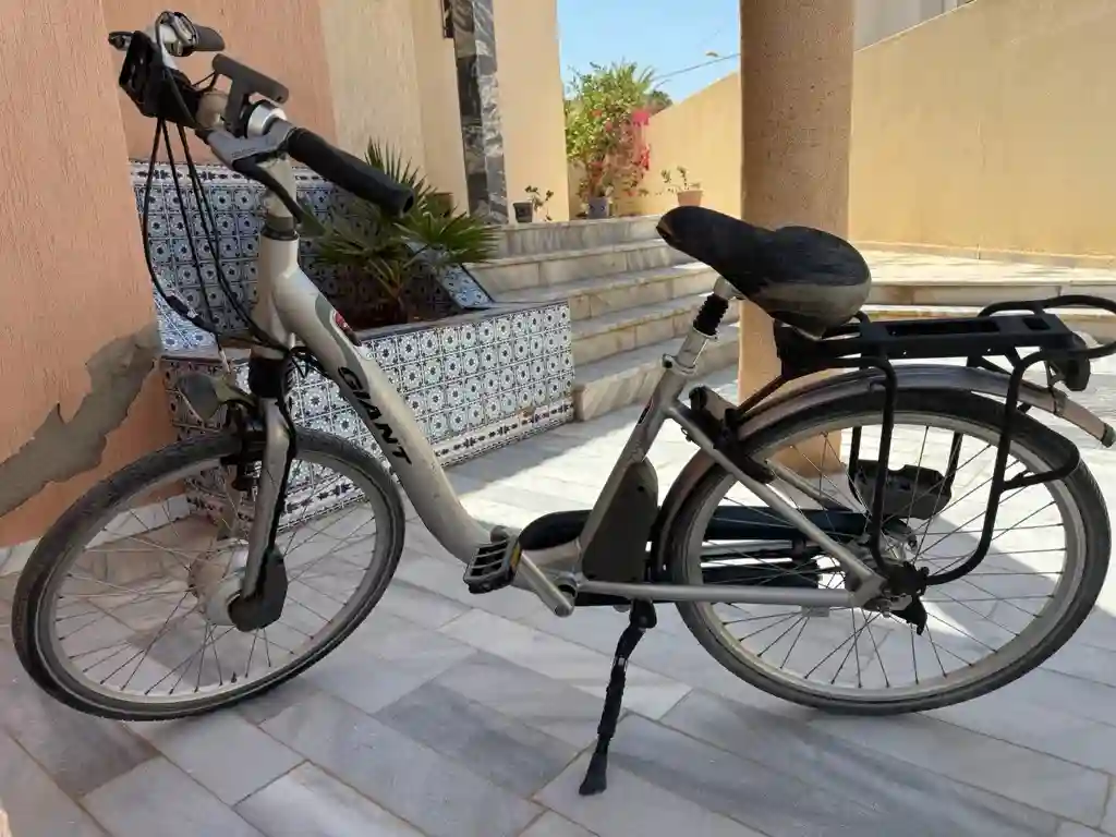 Vélo Geant Twin Électrique Sans Batterie - Vue 2