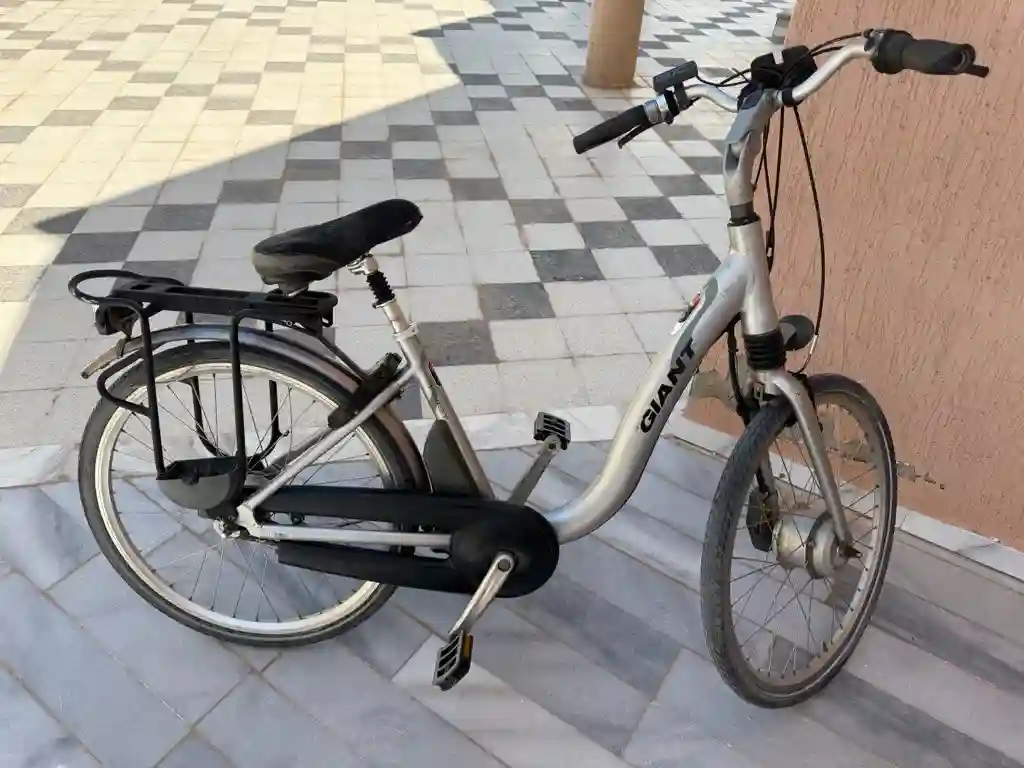 Vélo Geant Twin Électrique Sans Batterie - Vue 3